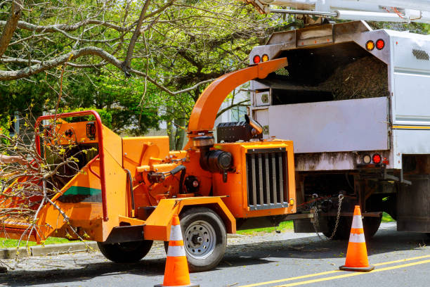 Union, OH Tree Removal Company